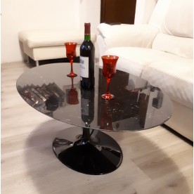 160 x 85 cm Oval Tulip Coffee table